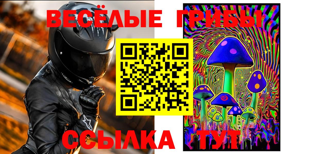 Михайловск  Псилоцибиновые грибы MAGIC MUSHROOMS  купить наркотик  Псилоцибиновые грибы Psilocybe  Вход с VPN 
